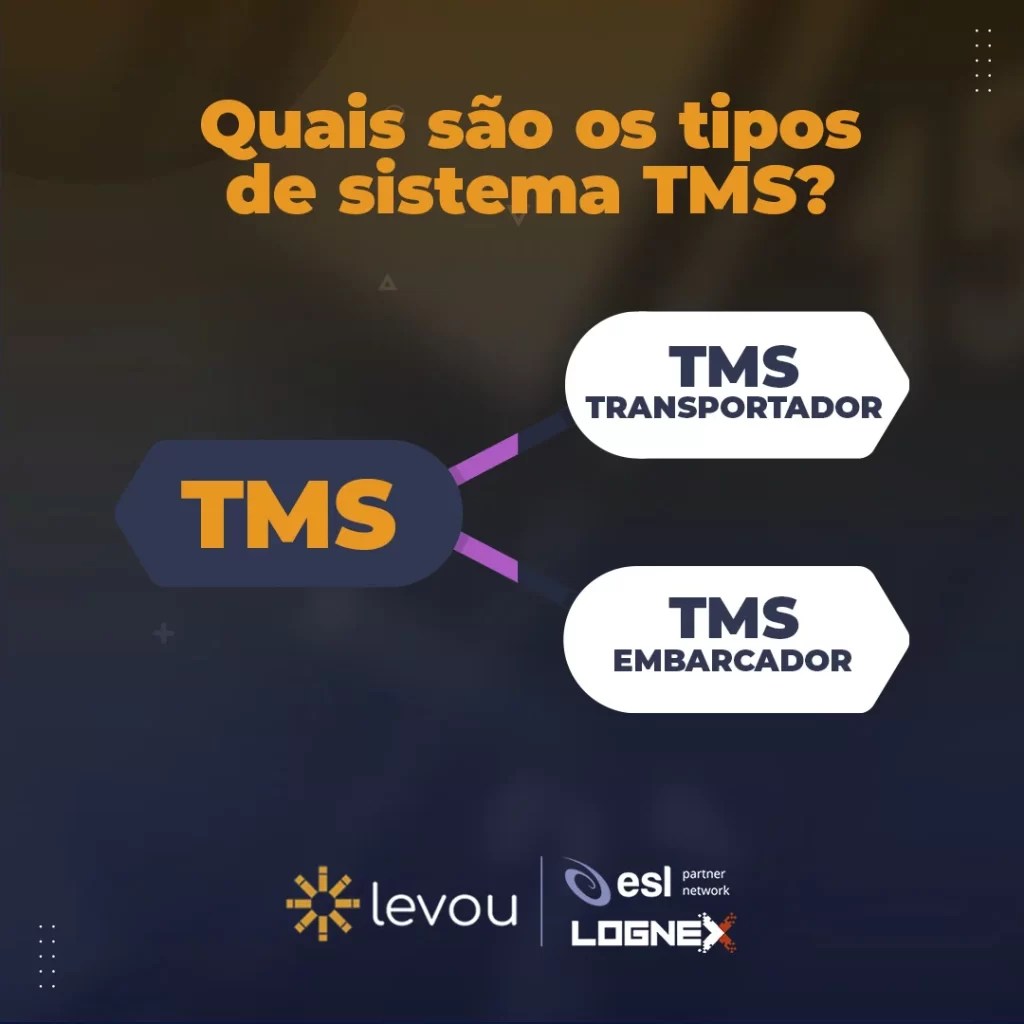 Quais são os tipos de Sistema TMS - Organograma mostrando os dois tipos te TMS