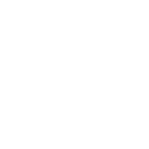 3 3
